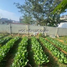Bếp cơ quan - Văn phòng - Học viện Lục quân thi đua nâng cao chất lượng bữa ăn, thiết thực chào mừng 80 năm Ngày truyền thống Học viện